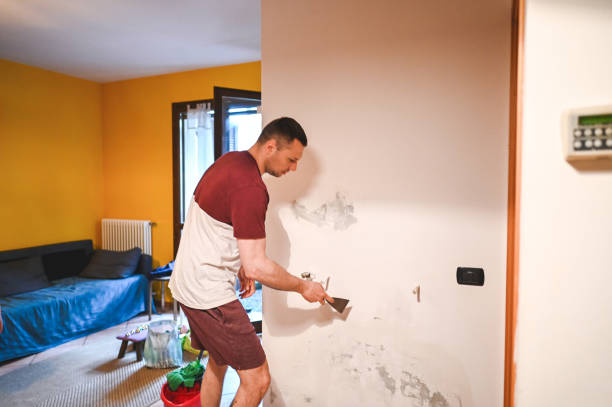 Dania Beach, FL Mold Removal Company